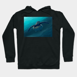 Sea Turtle Hoodie